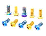 Golden Ti Tanium Rotor bolts set 12pcs